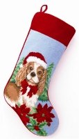 Spaniel